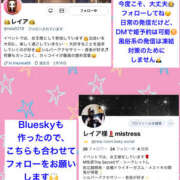 玲愛 XとBlueskyを新しくしました‼️4度目の正直、XのDMで姫予約やプレイ相談が可能🉑 THE SECRET 五反田メスイキ研究所
