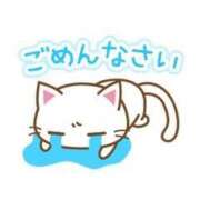 ヒメ日記 2025/02/02 10:48 投稿 みな 石亭