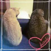 ヒメ日記 2025/11/29 10:47 投稿 みな 石亭