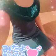 みな みたよありがとうございます 石亭