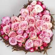 ヒメ日記 2026/02/05 19:56 投稿 みな 石亭