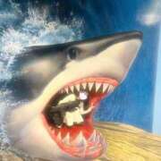 ヒメ日記 2025/01/07 00:09 投稿 ひより 池袋マリン本店