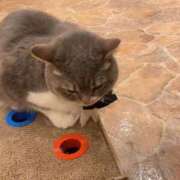 ヒメ日記 2025/03/12 22:58 投稿 ひより 池袋マリン本店