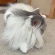 ヒメ日記 2025/10/10 22:16 投稿 ひより 池袋マリン本店