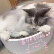 ヒメ日記 2025/10/16 23:06 投稿 ひより 池袋マリン本店