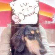 ヒメ日記 2025/10/20 18:17 投稿 ひより 池袋マリン本店