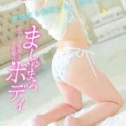 ヒメ日記 2025/03/19 08:33 投稿 会川 さゆり 夜這い専門 発情する奥様たち梅田店