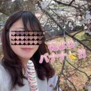 ヒメ日記 2025/04/06 13:06 投稿 会川 さゆり 夜這い専門 発情する奥様たち梅田店