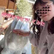 ヒメ日記 2025/04/07 08:46 投稿 会川 さゆり 夜這い専門 発情する奥様たち梅田店