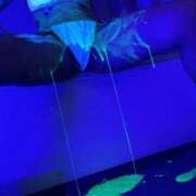 ヒメ日記 2026/03/27 12:38 投稿 会川 さゆり 夜這い専門 発情する奥様たち梅田店