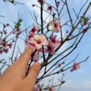 ヒメ日記 2026/03/29 17:34 投稿 会川 さゆり 夜這い専門 発情する奥様たち梅田店