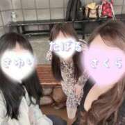 ヒメ日記 2026/05/14 15:18 投稿 会川 さゆり 夜這い専門 発情する奥様たち梅田店