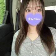 ヒメ日記 2025/08/17 17:40 投稿 えめ 黒い金魚（札幌）