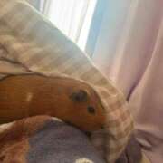 ヒメ日記 2025/02/13 17:57 投稿 きさら 黒い金魚（札幌）