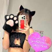 ヒメ日記 2025/02/23 12:07 投稿 きさら 黒い金魚（札幌）