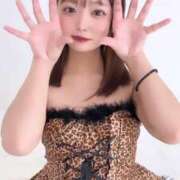 ヒメ日記 2025/02/23 16:47 投稿 きさら 黒い金魚（札幌）