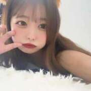 ヒメ日記 2025/03/19 11:07 投稿 きさら 黒い金魚（札幌）