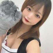 ヒメ日記 2025/04/26 00:08 投稿 きさら 黒い金魚（札幌）