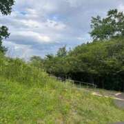 ヒメ日記 2025/06/04 19:43 投稿 きさら 黒い金魚（札幌）