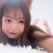 ヒメ日記 2025/06/09 10:27 投稿 きさら 黒い金魚（札幌）