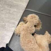 ヒメ日記 2025/07/16 17:22 投稿 きさら 黒い金魚（札幌）