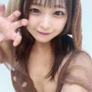 ヒメ日記 2025/11/13 16:00 投稿 きさら 黒い金魚（札幌）