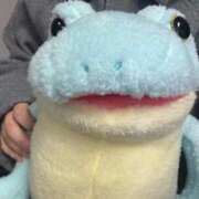 ヒメ日記 2025/11/20 13:50 投稿 きさら 黒い金魚（札幌）