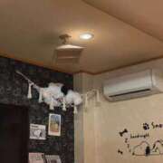 ヒメ日記 2026/08/09 15:30 投稿 きさら 黒い金魚（札幌）