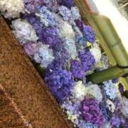 ヒメ日記 2025/08/08 10:04 投稿 ねね 成田人妻花壇