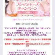 ヒメ日記 2025/04/01 06:30 投稿 松本 みなみ Prae(プラエ)