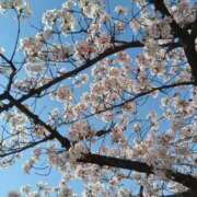 ヒメ日記 2025/04/11 15:30 投稿 松本 みなみ Prae(プラエ)