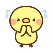 ヒメ日記 2025/05/23 11:20 投稿 松本 みなみ Prae(プラエ)