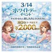ヒメ日記 2026/03/14 10:16 投稿 もみじ 新潟市鳥屋野潟ちゃんこ