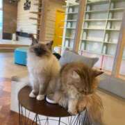 ヒメ日記 2025/06/22 00:06 投稿 エマ 沖縄素人図鑑