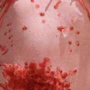 ヒメ日記 2025/02/24 10:14 投稿 つくも CLUB DEEP