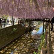 ヒメ日記 2025/05/04 18:34 投稿 つくも CLUB DEEP