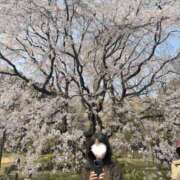 ヒメ日記 2025/04/03 13:27 投稿 美花 シャトーペトラ