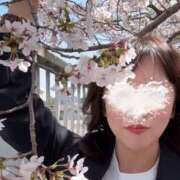 ヒメ日記 2025/04/09 13:37 投稿 美花 シャトーペトラ