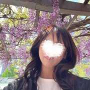 ヒメ日記 2025/05/28 13:06 投稿 美花 シャトーペトラ