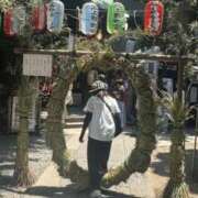 ヒメ日記 2025/07/01 09:12 投稿 美花 シャトーペトラ