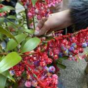 ヒメ日記 2026/03/20 13:00 投稿 もも☆ 粋美　suibi