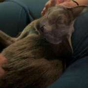 ヒメ日記 2025/02/04 18:13 投稿 おりえ 高級エステ セラピスト