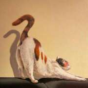 ヒメ日記 2025/02/18 13:23 投稿 おりえ 高級エステ セラピスト