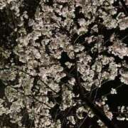 ヒメ日記 2025/04/06 21:13 投稿 おりえ 高級エステ セラピスト