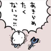 ヒメ日記 2025/04/07 15:04 投稿 おりえ 高級エステ セラピスト