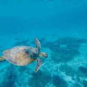 ヒメ日記 2025/06/15 17:33 投稿 おりえ 高級エステ セラピスト