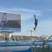 ヒメ日記 2025/07/04 12:53 投稿 おりえ 高級エステ セラピスト