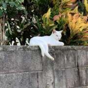 ヒメ日記 2025/09/08 11:33 投稿 おりえ 高級エステ セラピスト