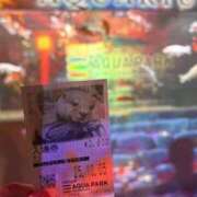 ヒメ日記 2025/10/09 11:23 投稿 おりえ 高級エステ セラピスト