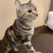 ヒメ日記 2025/10/16 11:23 投稿 おりえ 高級エステ セラピスト